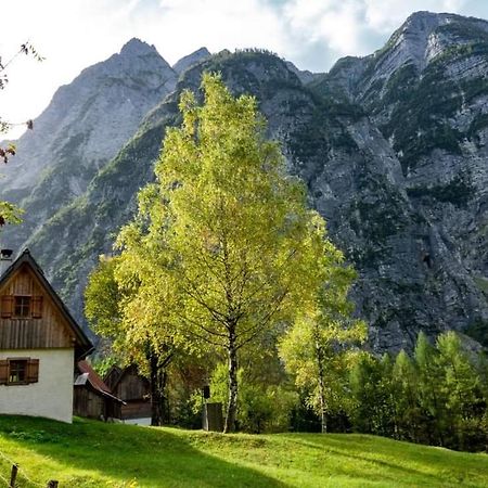 Cottages Kravanja ترينتا المظهر الخارجي الصورة