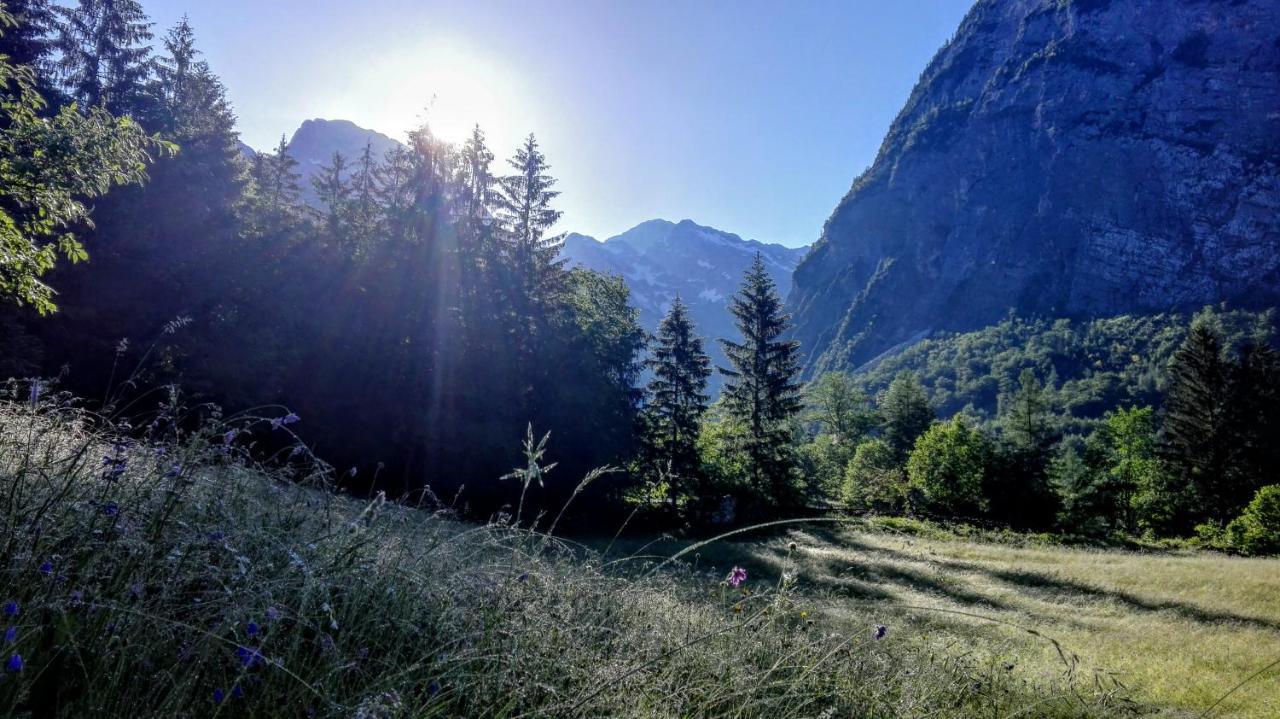 Cottages Kravanja ترينتا المظهر الخارجي الصورة