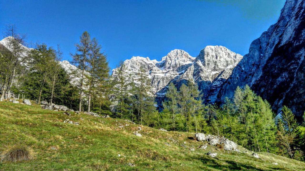 Cottages Kravanja ترينتا المظهر الخارجي الصورة