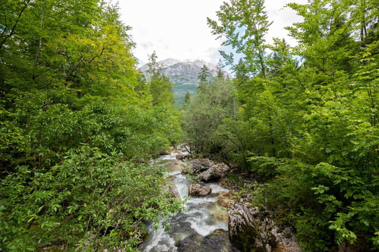 Cottages Kravanja ترينتا المظهر الخارجي الصورة