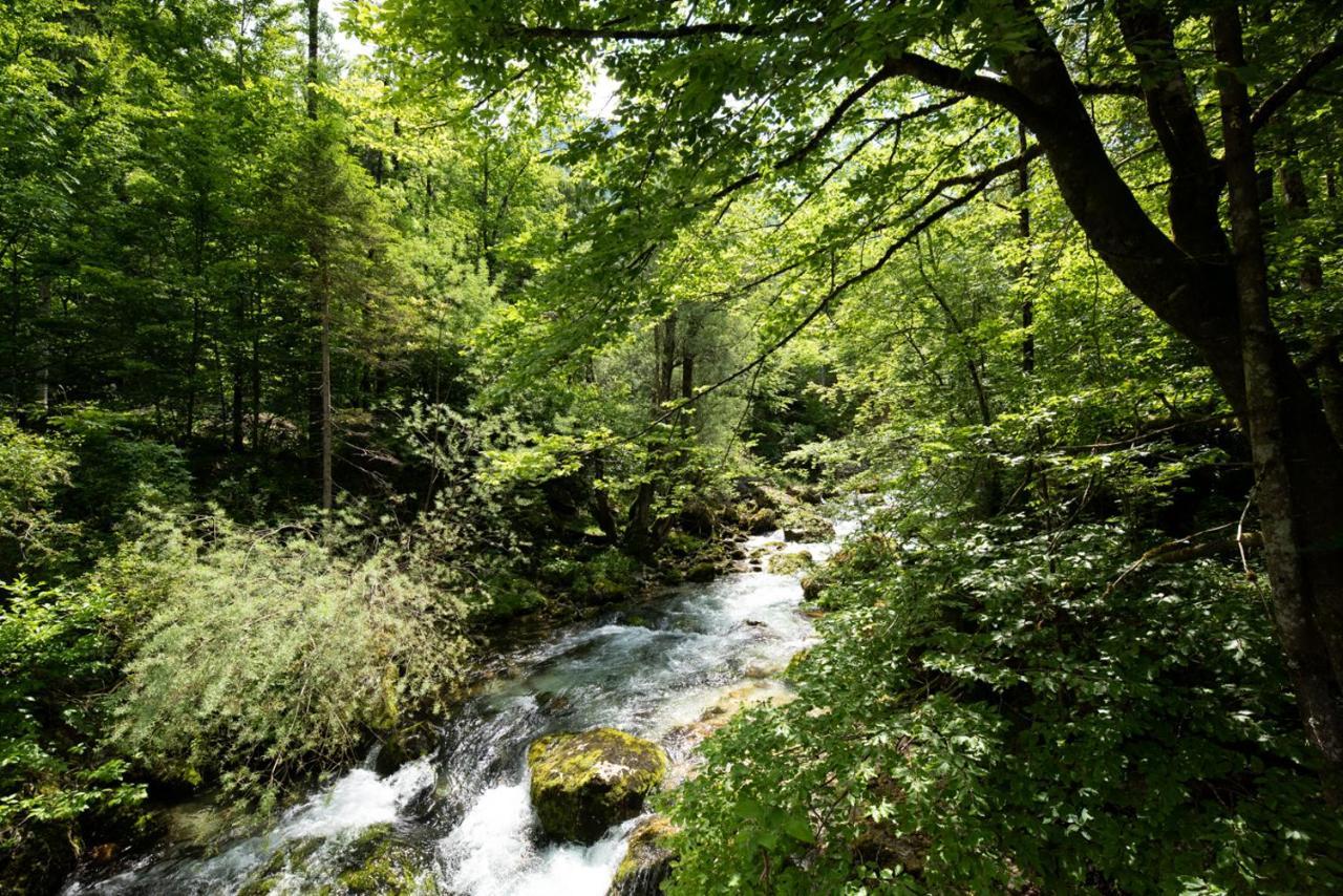 Cottages Kravanja ترينتا المظهر الخارجي الصورة