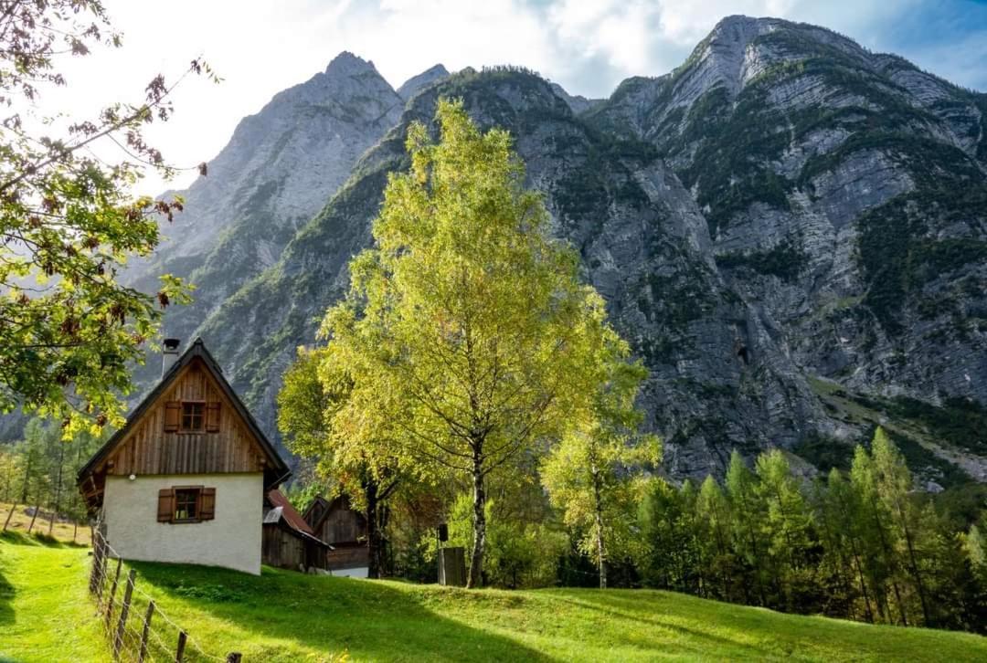 Cottages Kravanja ترينتا المظهر الخارجي الصورة
